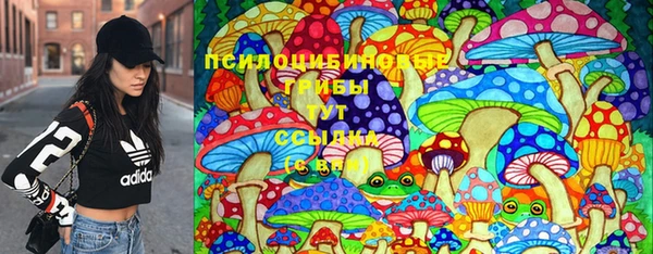 mdpv Магас