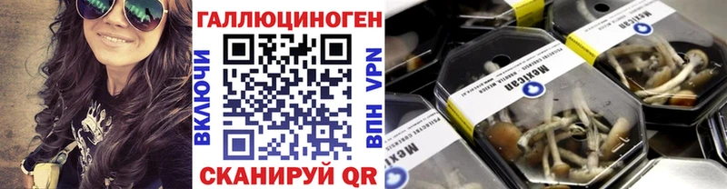 Псилоцибиновые грибы прущие грибы  Купить  Калтан 