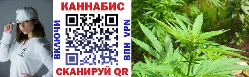 Бошки марихуана семена  Купить закладки  Калтан 